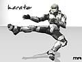 master_chief_karate_2.jpg