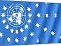 unscflag.gif