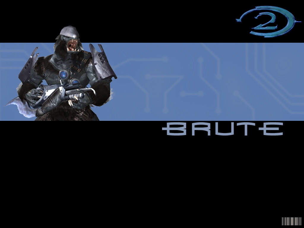 brute1024x768.jpg