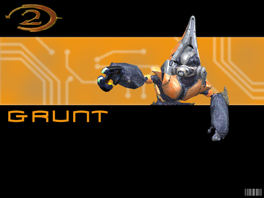 grunt1024x768.jpg