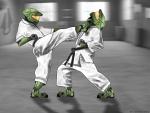 mc_karate_1024_768.jpg